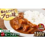 加工品等 レトルト 全3回定期便 具材がごろごろ