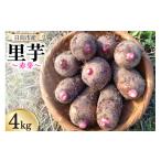 人参 大根 他根菜 発送 里芋 赤芽 4kg