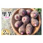 人参 大根 他根菜 発送 里芋 赤芽 2kg