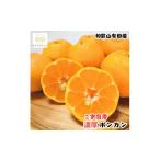 極甘 柑橘 有田育ちの濃厚 ポンカン 7.5kg