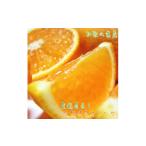 ふるさと納税 みかん・柑橘類 和歌山県 印南町 有田育ちの 完熟 清見 オレンジ（ご家庭用）約10kg［先行予約］［MS35］