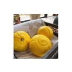 ふるさと納税 みかん・柑橘類 和歌山県 那智勝浦町 有田育ちの 完熟 はるかみかん（ご家庭用）約5kg［先行予約］［MS53］