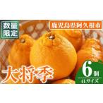 ふるさと納税 みかん・柑橘類 鹿児島県 阿久根市  先行予約受付中 2026年1月中旬以降順次発送予定 数量限定 大将季 (6個・4Lサイズ) 柑橘 フルーツ 果物 国産 …