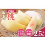 ふるさと納税 もも 奈良県 五條市 大和果樹園の桃 約2.5kg | フルーツ 果物 くだもの 桃 もも ピーチ 甘い 産地直送 新鮮 とれたて やわらかい 果肉 果実 芳醇…