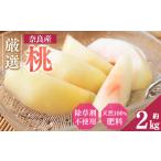 ふるさと納税 もも 奈良県 五條市 大和果樹園の桃 約 2kg | フルーツ 果物 くだもの 桃 もも ピーチ 甘い 産地直送 新鮮 とれたて やわらかい 果肉 果実 芳醇 …
