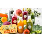 野菜類 ジュース コールドプレスジュース2デイクレンズラー…