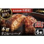 牛肉 ハンバーグ 博多和牛100% 博多和牛
