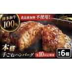 牛肉 ハンバーグ 全10回定期便 博多和牛100%