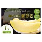 ふるさと納税 メロン メロン青肉 京都府 京丹後市  先行予約／数量限定200 幻のメロン 新芳露 1玉（2026年7月中旬〜発送）　DE00152