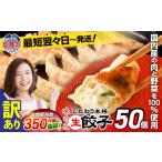 訳あり 餃子 冷凍 本格 生餃子 50個