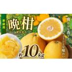 ふるさと納税 果物類 みかん 熊本県 玉名市 熊本県産 家庭用 晩柑 約10kg | 果物 くだもの フルーツ 柑橘 柑橘類 みかん ミカン 晩柑 和製グレープフルーツ …