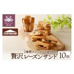焼菓子 チョコレート シャトレーゼ レーズンサンド 10個