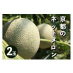ふるさと納税 メロン メロン青肉 京都府 京丹後市 先行予約/数量限定50 アールスメロン(ネットメロン) 2玉(2026年7月上旬〜発送) NG00014