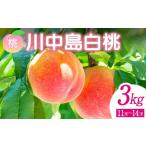 ふるさと納税 もも 福