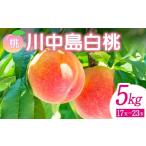 ふるさと納税 もも 福