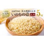 ふるさと納税 米 宮崎