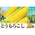 ふるさと納税 とうもろこし 北海道 当別町 0.9-319 石田ファーム とうもろこし詰め合わせ10本セット 訳あり 不揃い 朝採り 野菜 新鮮 夢のコーン 甘獲娘 スタ…