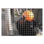 入場券 優待券 徳山動物園サポーター会員入会券