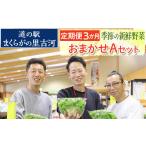 セット 詰合せ 定期便3か月 道の駅まくらがの里古河