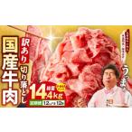 ふるさと納税 牛肉 大阪府 泉佐野市  定期便 国産 牛肉 切り落とし 定期便 1.2kg×全12回 総量 14.4kg 国産 牛肉 氷温熟成×極味付け 訳あり サイズ不揃い カ…