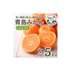 ふるさと納税 果物類 みかん 静岡県 湖西市 年内発送 12月中旬より順次出荷予定 青島みかん約5kg Mサイズ〔鈴木農園〕 1510098