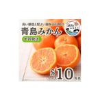ふるさと納税 果物類 みかん 静岡県 湖西市 年内発送 12月中旬より順次出荷予定 青島みかん約10kg Sサイズ〔鈴木農園〕 1510118