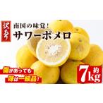 ふるさと納税 みかん・柑橘類 鹿児島県 阿久根市 先行予約受付中 2026年2月下旬以降発送予定 訳あり・傷あり 数量限定 サワーポメロ(約7kg) 国産 フルーツ 果…