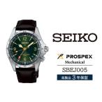 時計 メンズ腕時計 SBEJ005 セイコー