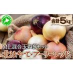ふるさと納税 野菜類 玉ねぎ 北海道 伊達市 5525-1005 2025年 発送 先行予約 北海道 玉ねぎ 各2.5kg 計 約 5kg M-L混合 北はやて アーリーレッド タマネギ た…