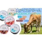 菓子 アイス 島アイスクリーム やんばる産グラスフェッドジ…