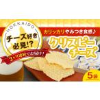 加工品等 チーズ 全2回定期便 クリスピーチーズ 5袋