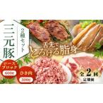 豚肉 セット 全2回定期便 平田牧場 2種セット