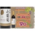 ふるさと納税 ワイン 赤ワイン 岩手県 洋野町 2024年産 洋野山葡萄ワイン 720ml(辛口)