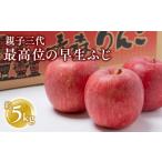 ふるさと納税 りんご 青森県 平川市 10月発送 親子三代最高位の早生ふじ約5kg 全国ふじコンテスト最高賞受賞農園・平川市広船産りんご