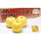 ふるさと納税 りんご 青森県 平川市 12月・1月発送 親子三代最高位のシナノゴールド約5kg 全国ふじコンテスト最高賞受賞農園 青森県 平川市 釈迦のりんご園 …
