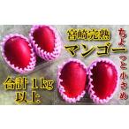 ショッピングふるさと納税 マンゴー ふるさと納税 マンゴー 宮崎県 串間市  やました農園 先行予約 小さいマンゴーでも味と糖度は贈答用と同じ M／Lサイズ4玉（1,000g〜1,200g）| ご家庭用 ちょっ…