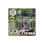 ふるさと納税 米 ゆめ