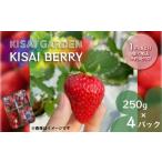 ふるさと納税 いちご 徳島県 鳴門市  2026年1月頃より順次発送 KISAI BERRY 250g×4パック 数量限定 | 栽培期間中農薬不使用 苺 いちご イチゴ 徳島 鳴門 果物…