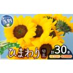 ひまわり 切花 30本