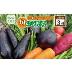 セット 詰合せ 3回定期便 旬の京野菜 毎月お届けレギュラー…