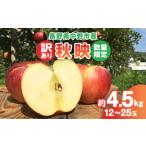 ふるさと納税 りんご 長野県 中野市 2025年発送 数量限定 秋映 訳あり 約4.5kg(12-25玉) 中野市産 信州りんご 1412993