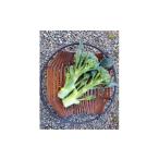 野菜類 え 豆腐のおから 主茎 茎ブロッコリー