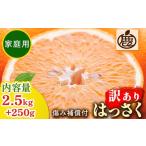 はっさく2.5kg+250g 傷み補償分