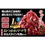 牛肉 肉 おつかれママ牛 ホルスタイン 牛肉セット