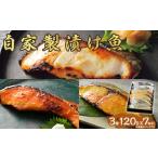 ふるさと納税 漬魚（味噌・粕等） 味噌漬け 新潟県 長岡市 D7-08自家製漬け魚3種（120g×7切れ）