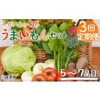 セット 詰合せ せいよのうまいもんセット