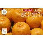 森本農園の手選別 ポンカン 6kg