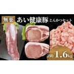 肉 揚げ物 とんかつ セット ヒレ 約 650g