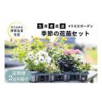 花 定期便 2ヶ月季節の花苗 セット 花き品評会理事長賞受賞