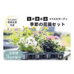 花 定期便 3ヶ月季節の花苗 セット 花き品評会理事長賞受賞